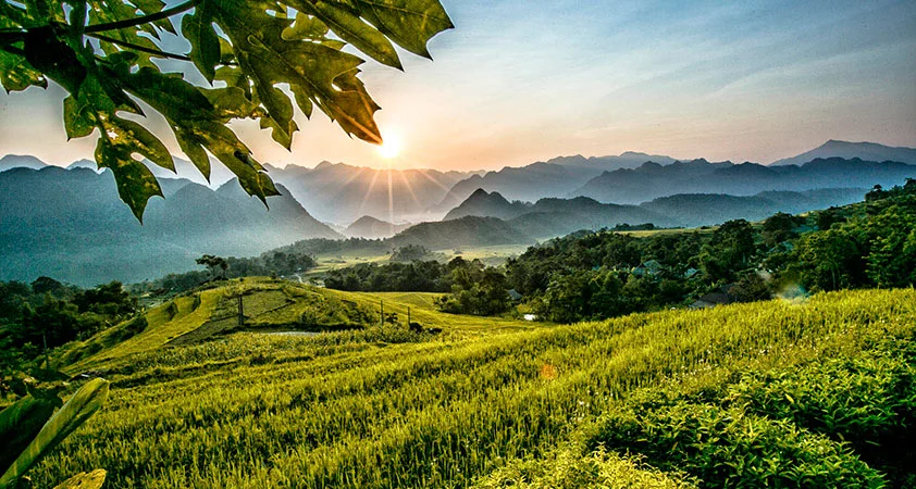12-best-things-to-do-in-pu-luong-exploring-the-wonders-of-the-nature-reserve-droo 12-best-things-to-do-in-pu-luong-exploring-the-wonders-of-the-nature-reserve-droo