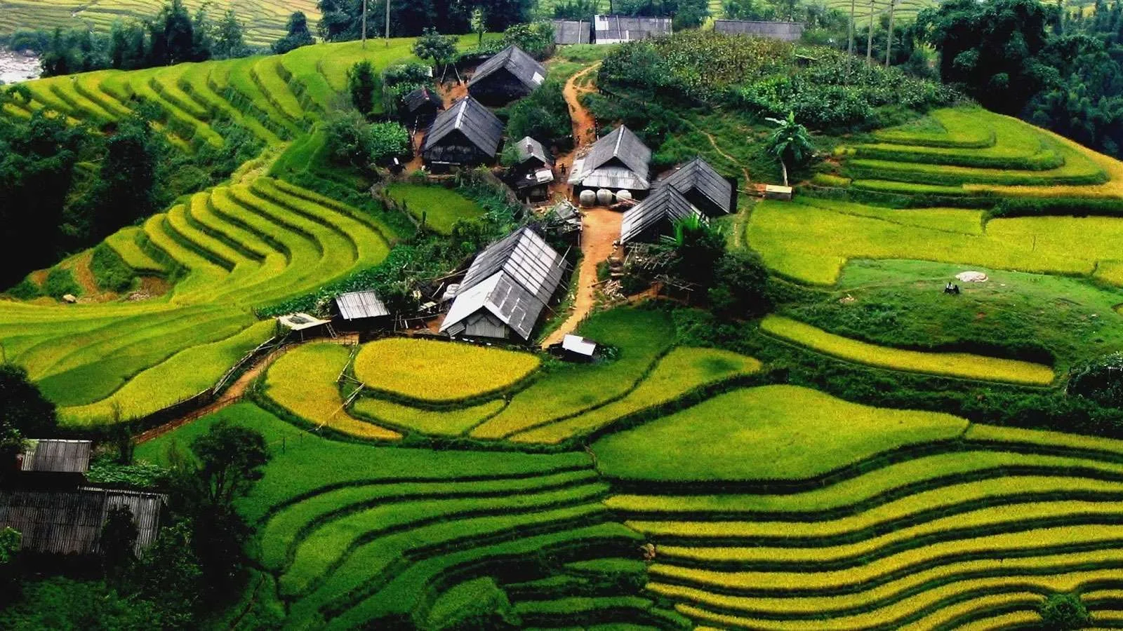 image_sbg1645172827