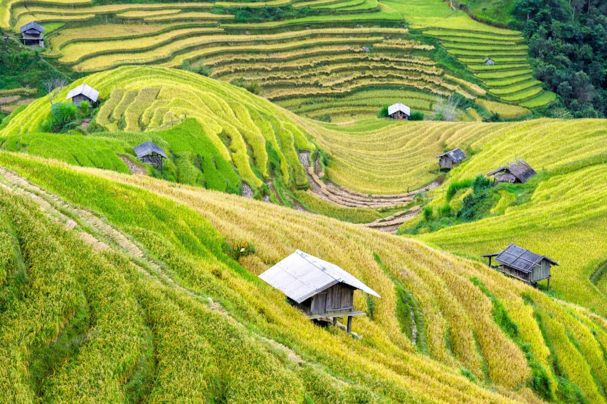 information-about-mai-chau-travel-guide-xbdg information-about-mai-chau-travel-guide-xbdg