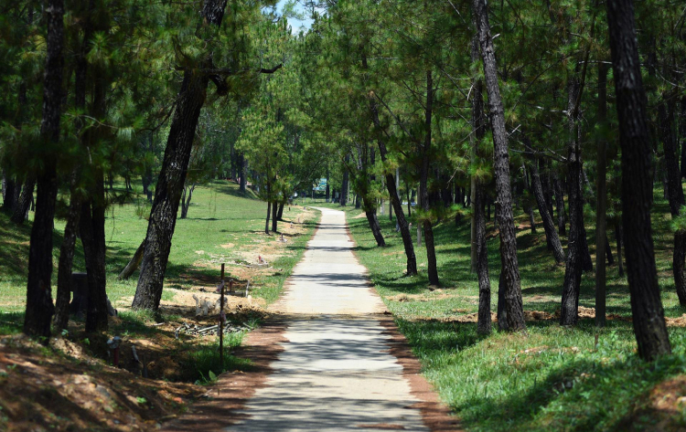 lang-gia-long-3_1636884855 Lăng Gia Long