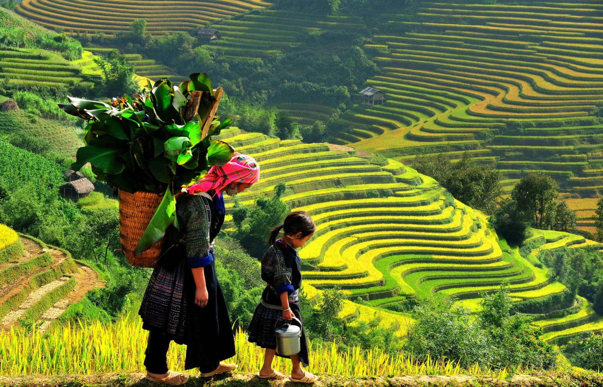 sapa-mua-lua-chin-nac-thang-len-thien-duong2