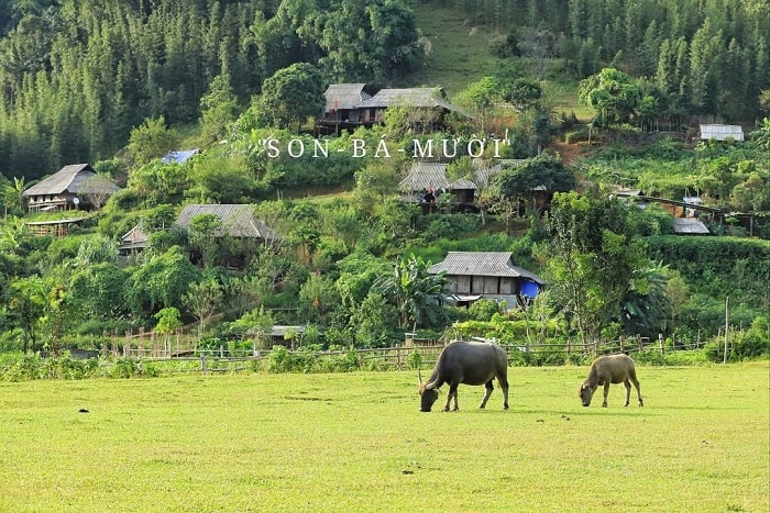 son-ba-muoi-review-charms-of-pu-luongs-hidden-oasis-qkmy